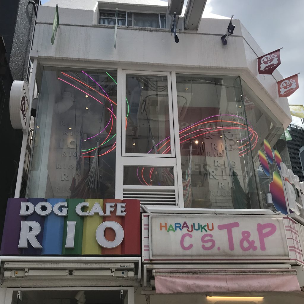 Dog Cafe RIO in Takeshita-dori, Harajuku Tokyo